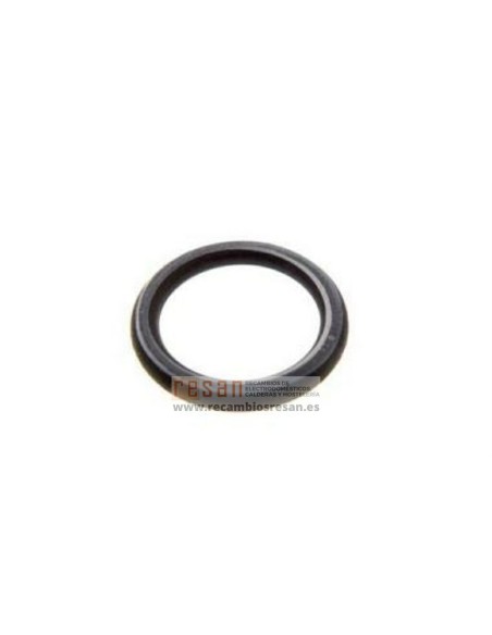 Junta torica MU0500261