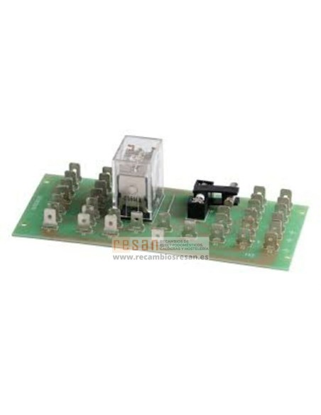 Tarjeta electronica FK2 GGNTK GNTK