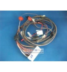 Conjunto cable 256116