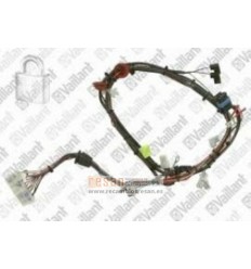 Conjunto cable 256097