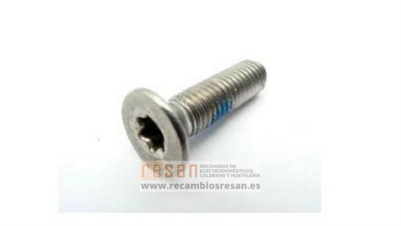 Tornillo torx