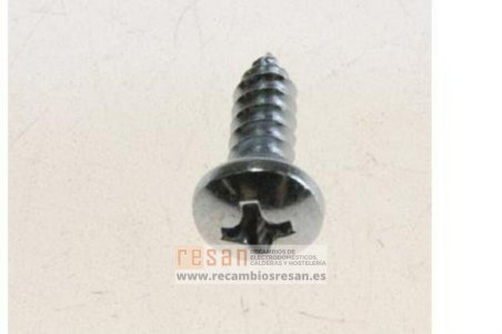 Tornillo 100601520