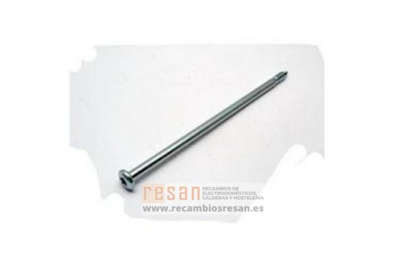 Tornillo eje bisagra