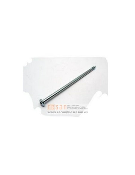Tornillo eje bisagra