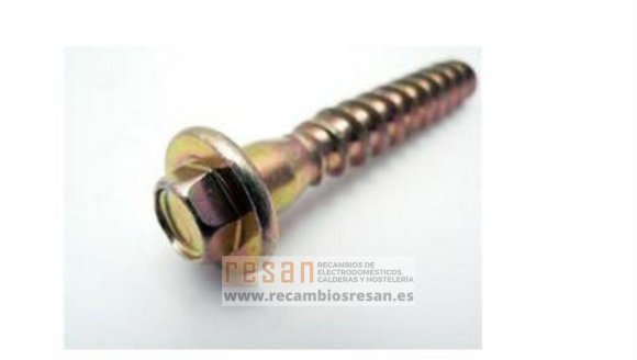 Tornillo 10x61 W13A006A5