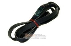 Correa 1184-J5 - 52X0032