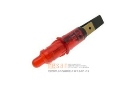 Piloto SDR000552