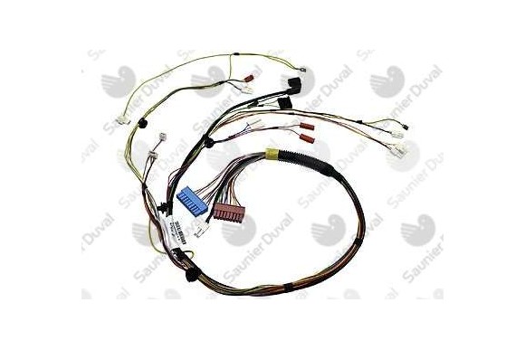 Cableado principal Themafast Condens 30