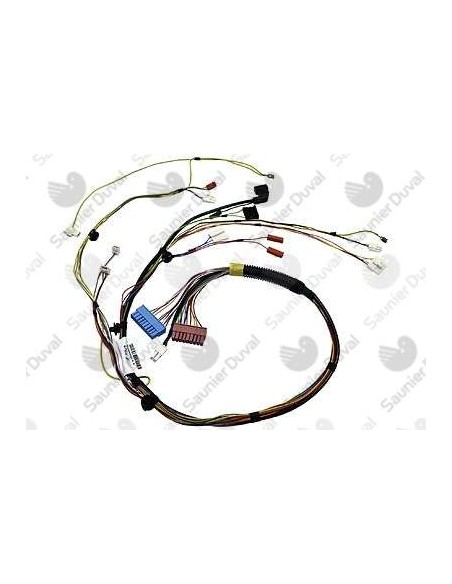 Cableado principal Themafast Condens 30