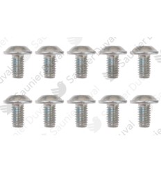 Tornillo Saunier M6x10 (10 pz.)
