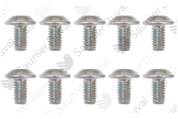 Tornillo Saunier M6x10 (10 pz.)