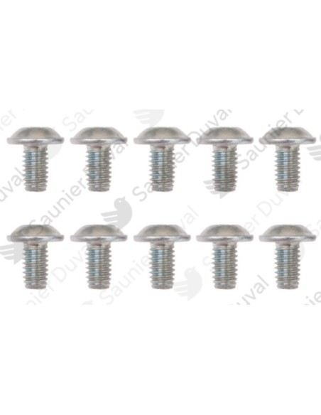 Tornillo Saunier M6x10 (10 pz.)