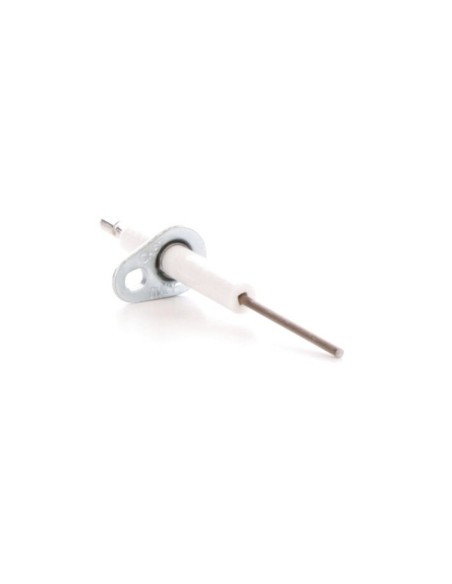 Electrodo ionizacion Sime Duogas