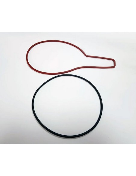 Kit juntas quemador Bluehelix Tech RRT 24 C
