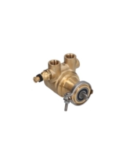 Bomba abrazadera 200l/h rotoflow Italcrem Capri