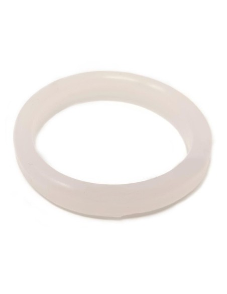 Junta resistencia Thermex 46x62mm