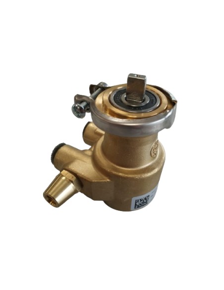 Bomba volumetrica cafetera 200L/h