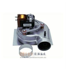 Extractor de humos Beretta (ver 77455543)