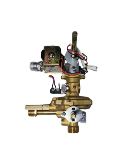 Cuerpo de agua gas Cointra CPA14 - Natural