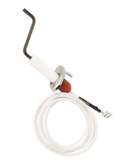 Electrodo ionizacion Centro R2K