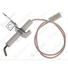 Electrodo ionizacion Leopard BTV