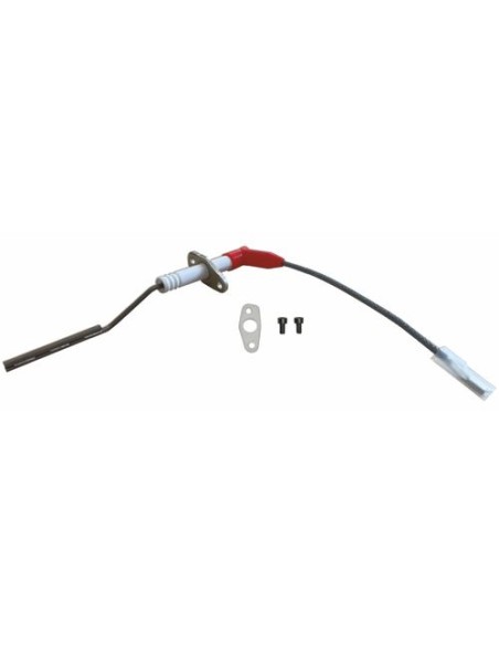 Electrodo ionizacion CGB-2K24 c/cable tapa moderna