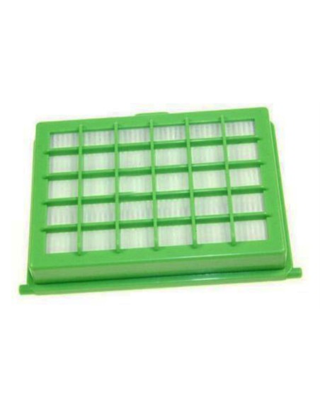 Filtro HEPA Rowenta RO5253