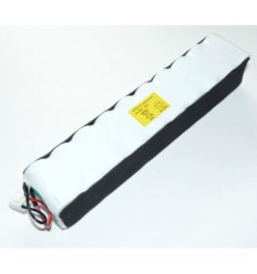 Bateria aspirador Rowenta 24V 2Ah