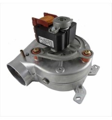 Extractor de humos Biasi M295.24