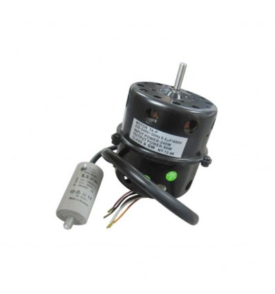 Motor campana Nodor K12 (ver 33102003)