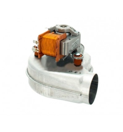 Extractor de humos Junkers ZW23-1